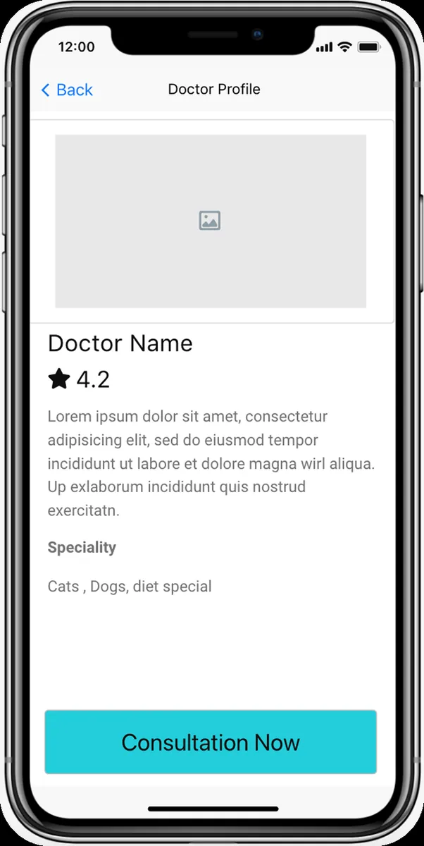 Low fidelity wireframe of the doctor profile screen