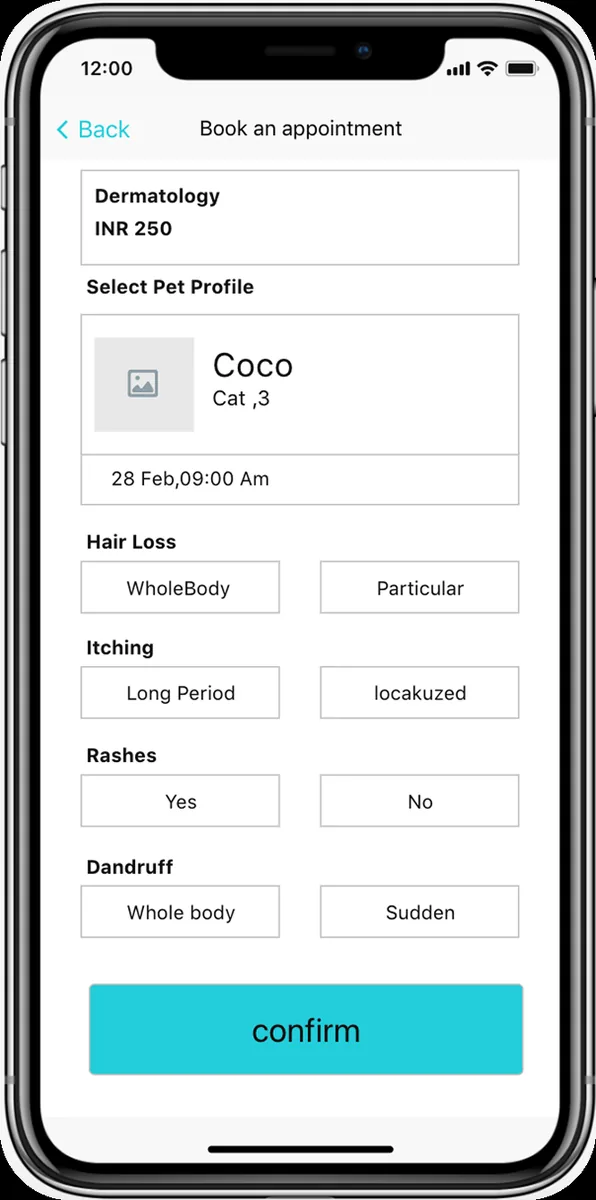 Low fidelity wireframe of the symptom intake and confirmation screen