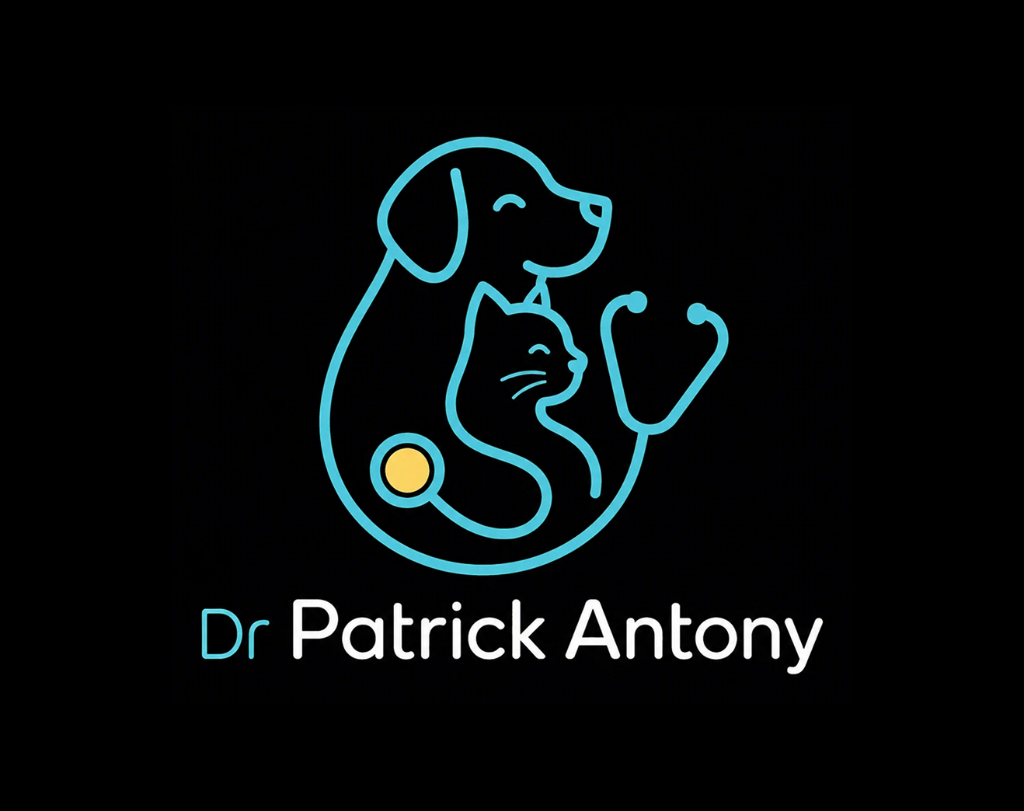 The selected direction drawn over circular construction guides, annotated with notes on friendly approachable pet care, continuous flow and connection, balanced proportions, and the stethoscope meaning care and trust